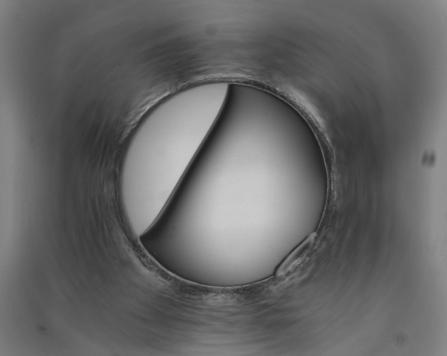 X0000091080105200708201443