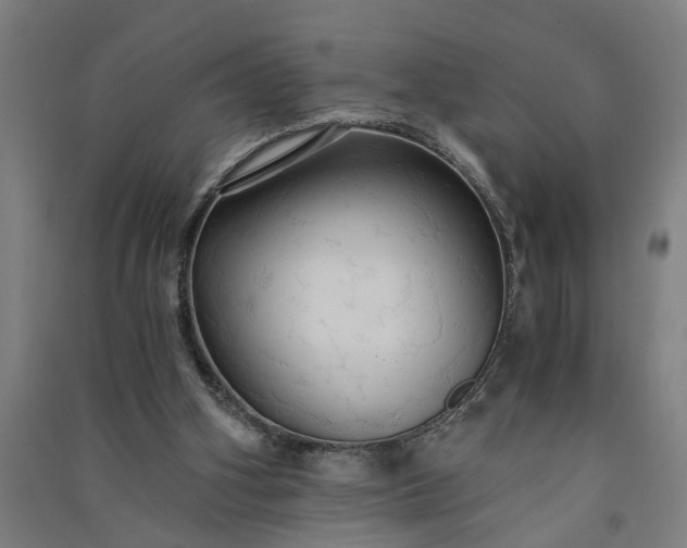 X0000091080106200708201443