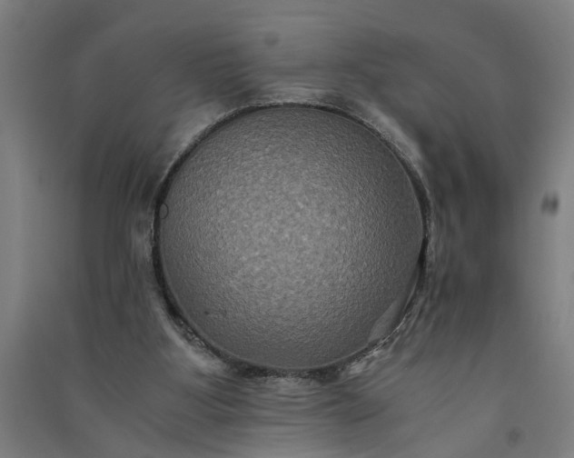 X0000091080107200708201443