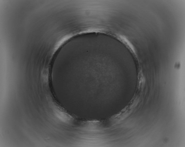 X0000091080108200708201443