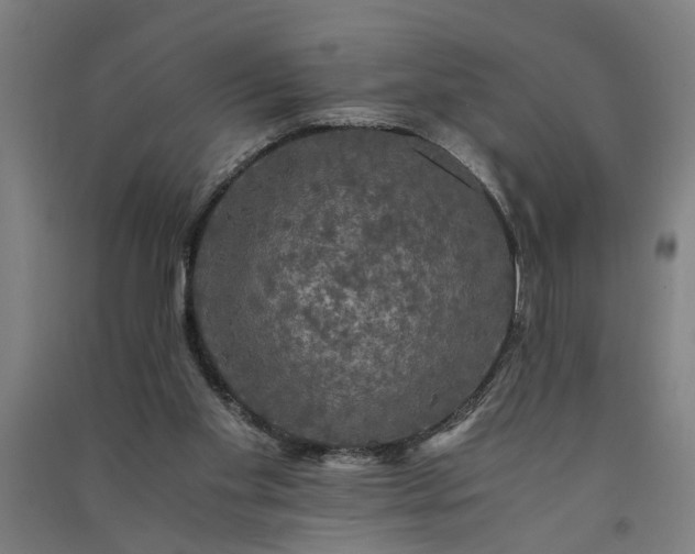 X0000091080109200708201443