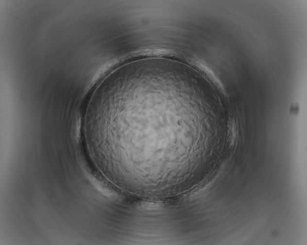 X0000091080110200708201443