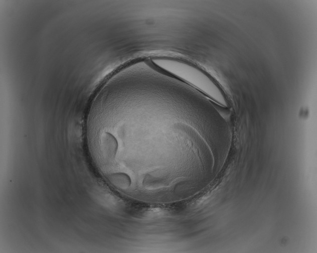 X0000091080111200708201443