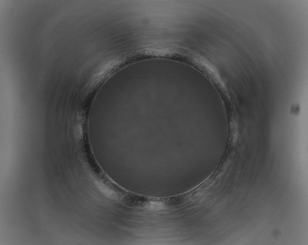 X0000091080114200708201443