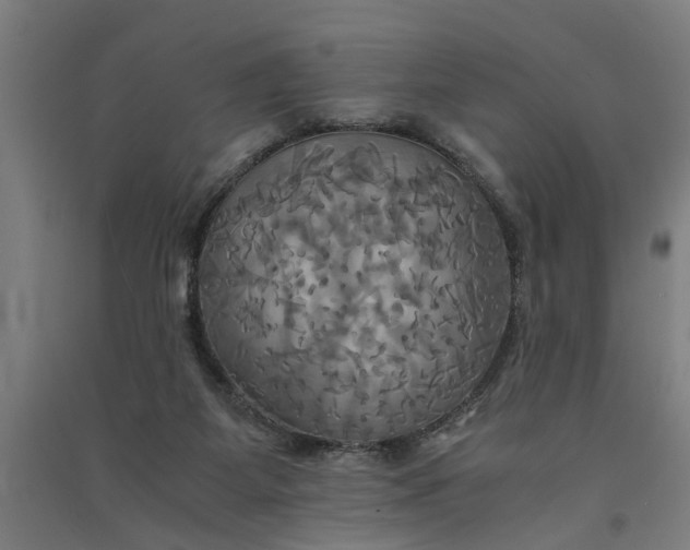 X0000091080115200708201443