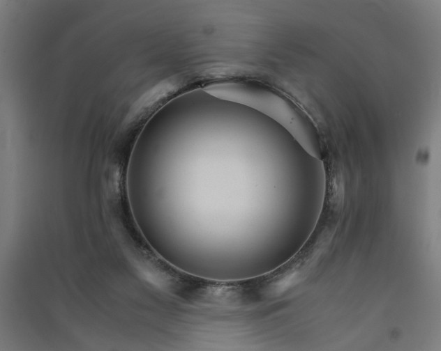 X0000091080117200708201443