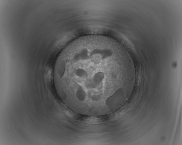 X0000091080123200708201443