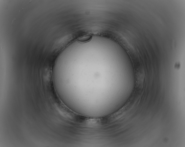 X0000091080126200708201443