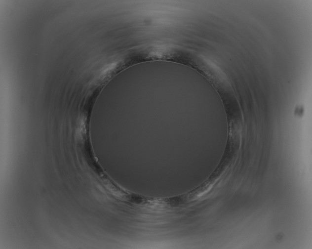 X0000091080127200708201443