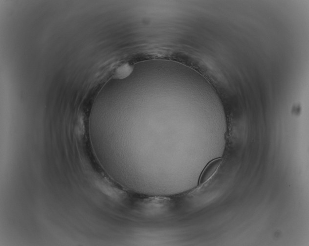 X0000091080128200708201443