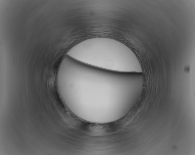 X0000091080129200708201443