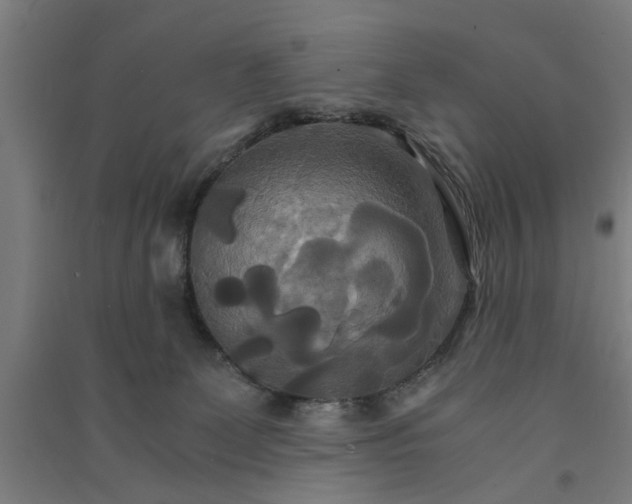 X0000091080131200708201443