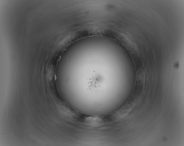 X0000091080133200708201443