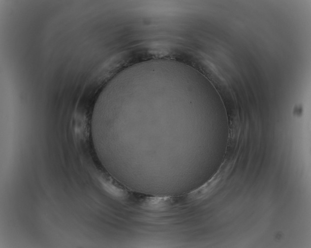 X0000091080136200708201443