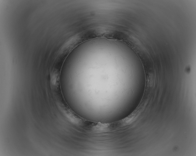 X0000091080138200708201443