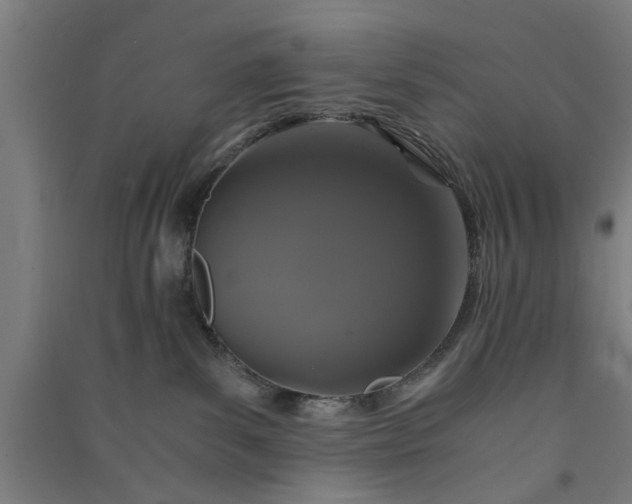 X0000091080139200708201443