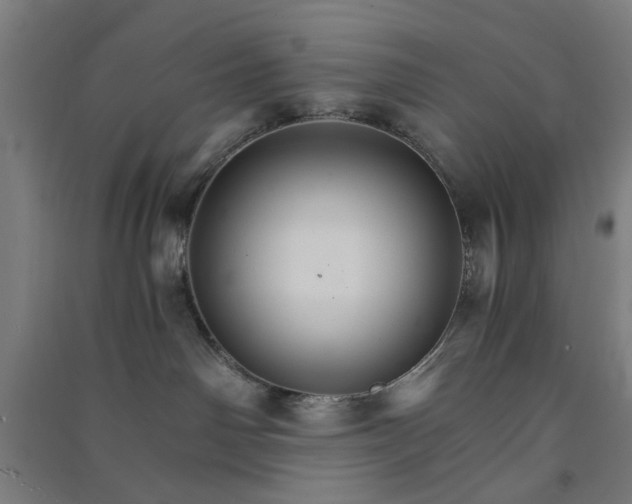 X0000091080142200708201443