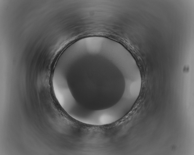 X0000091080146200708201442