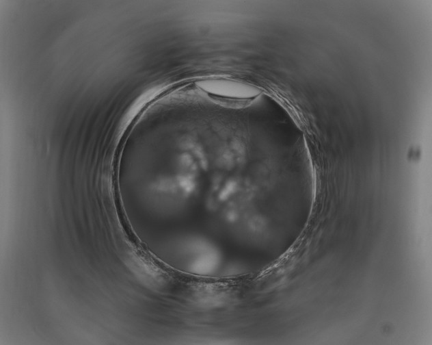 X0000091080147200708201442