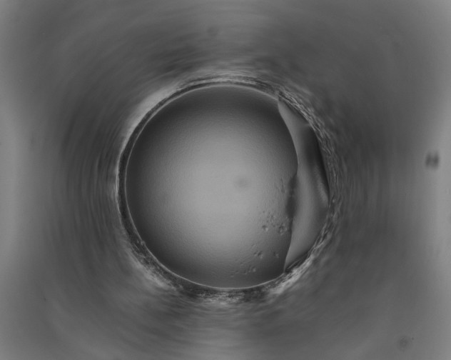 X0000091080148200708201442