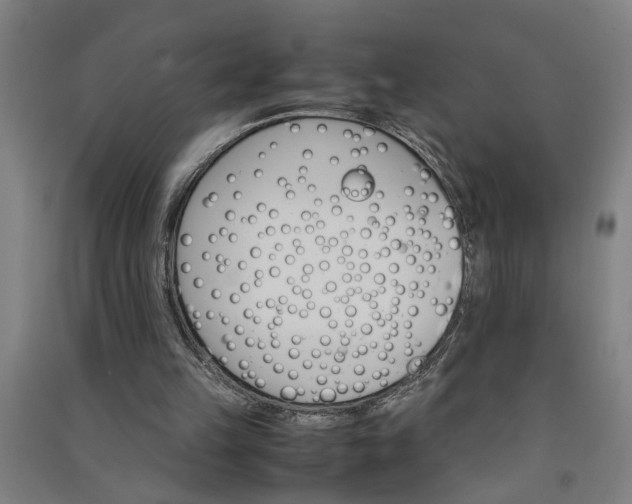 X0000091080149200708201442