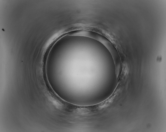 X0000091080150200708201442