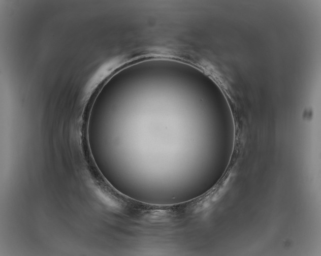 X0000091080151200708201442