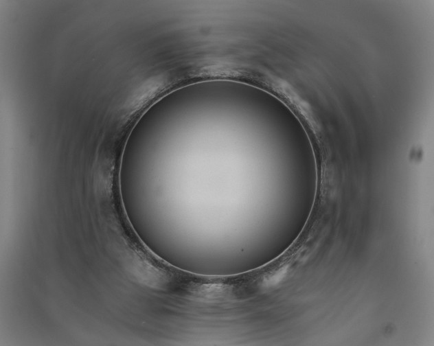 X0000091080153200708201442