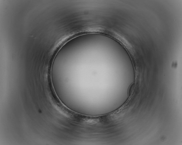 X0000091080155200708201442