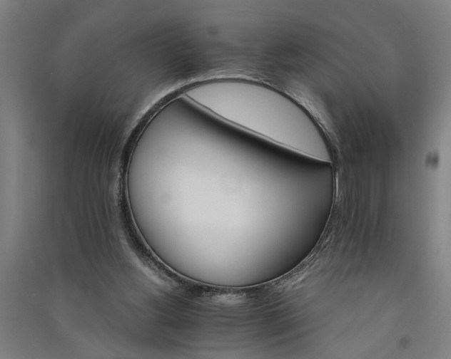 X0000091080156200708201442