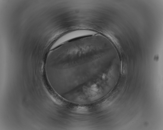 X0000091080157200708201442