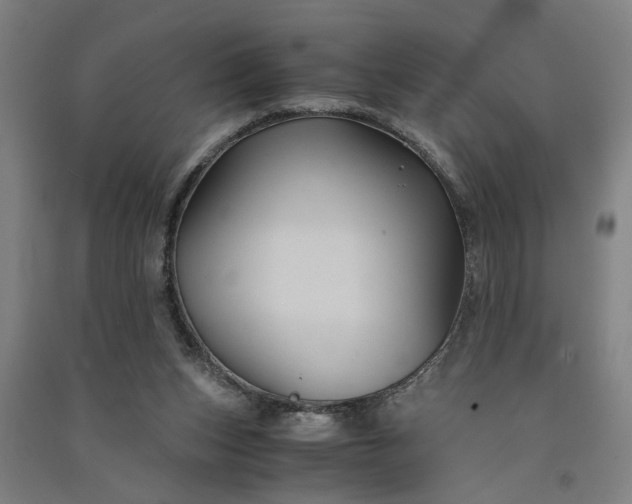 X0000091080159200708201442