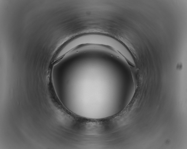 X0000091080160200708201442