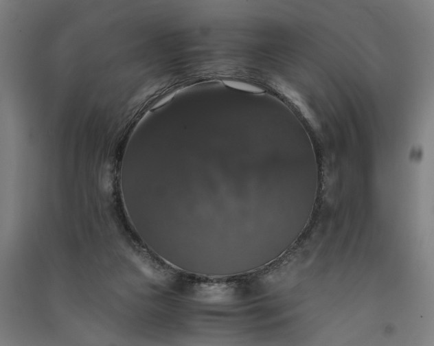 X0000091080161200708201442