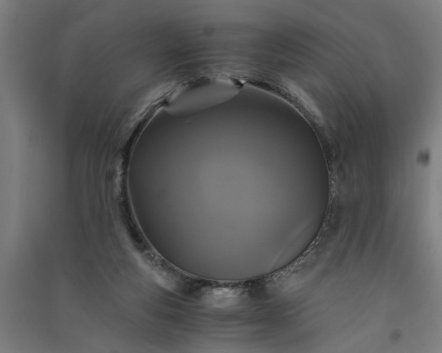 X0000091080163200708201442