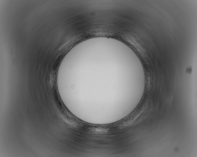 X0000091080165200708201442