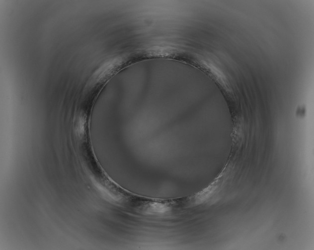 X0000091080166200708201442