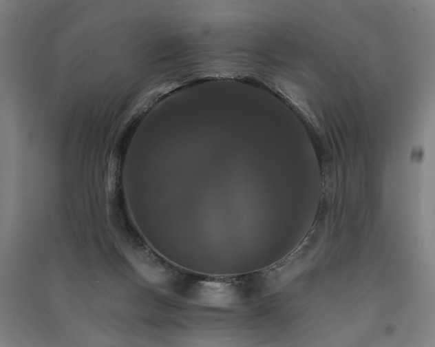 X0000091080167200708201442