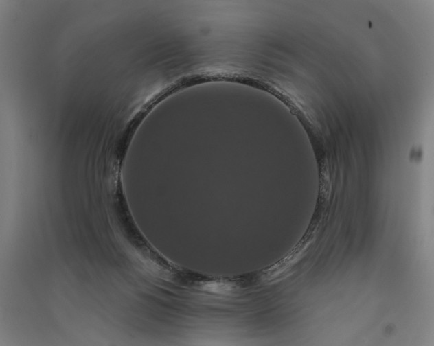 X0000091080168200708201442