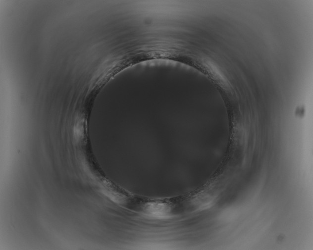 X0000091080169200708201442