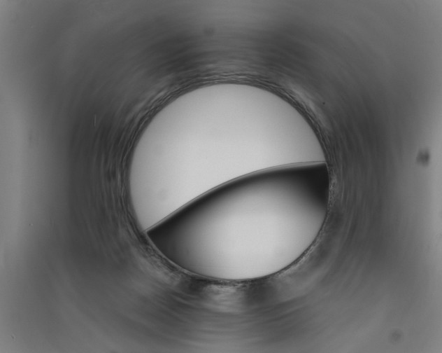 X0000091080170200708201442