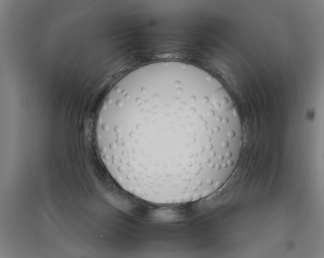 X0000091080171200708201442