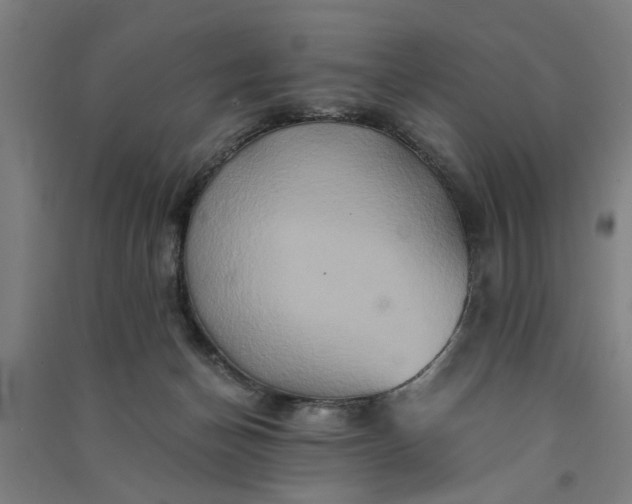 X0000091080174200708201442