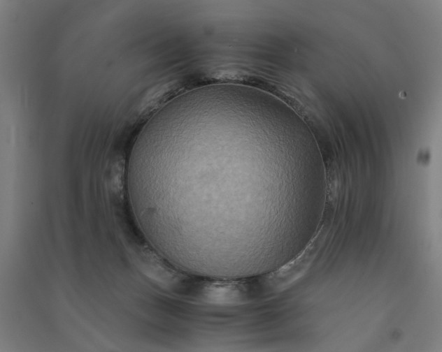 X0000091080175200708201442