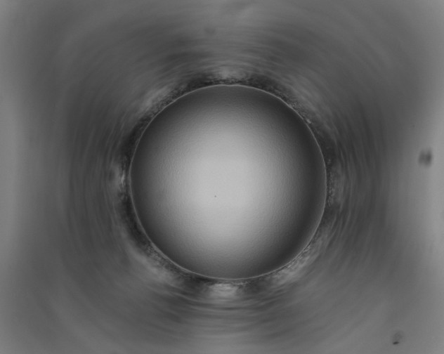 X0000091080176200708201442