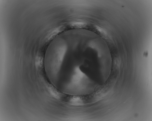 X0000091080177200708201442