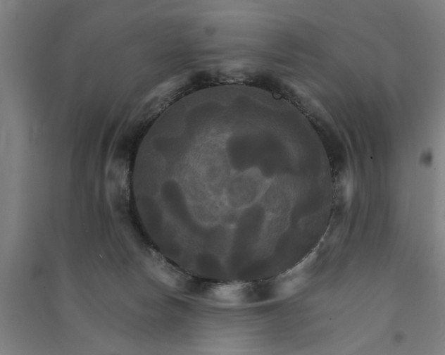 X0000091080178200708201442