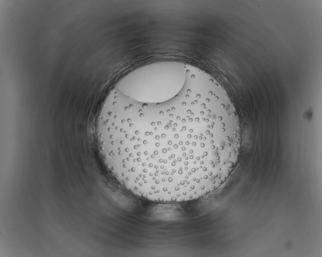 X0000091080179200708201442