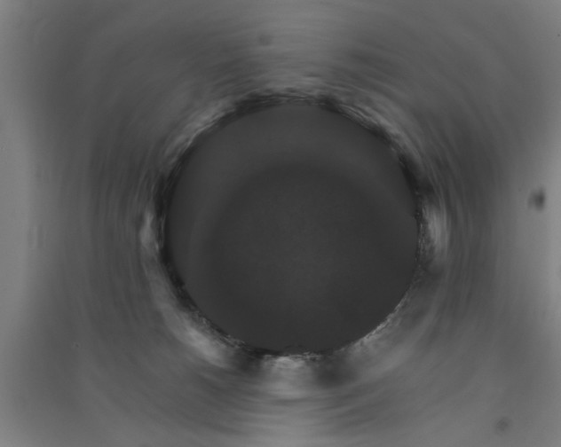 X0000091080180200708201442