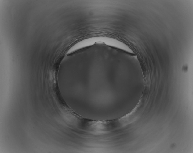 X0000091080182200708201442